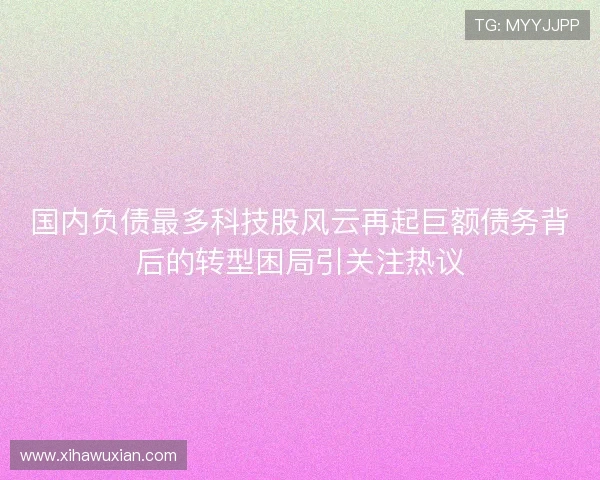国内负债最多科技股风云再起巨额债务背后的转型困局引关注热议